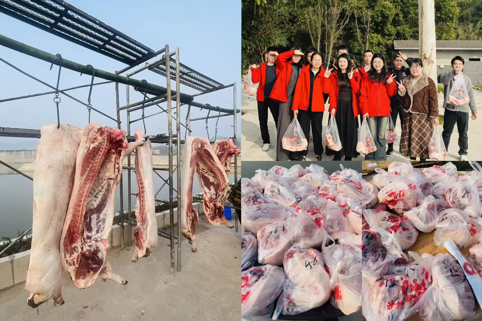 1769585647356462.jpg 1769585647356462.jpg